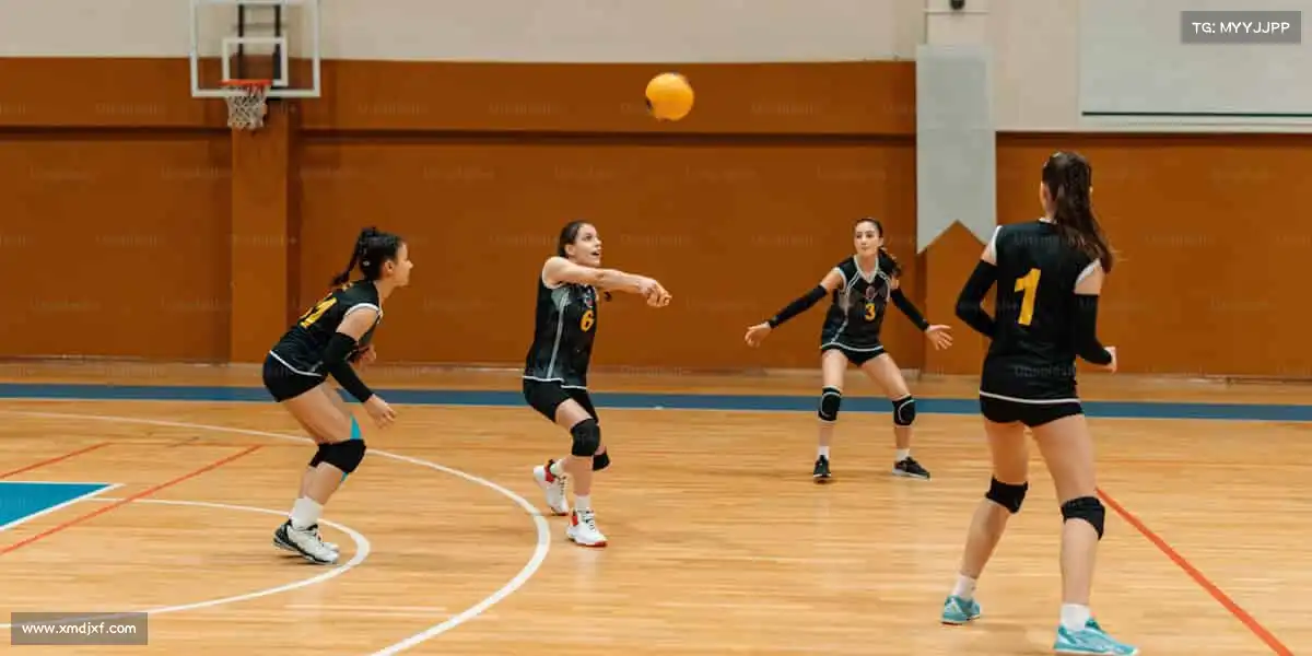 为什么选择我们